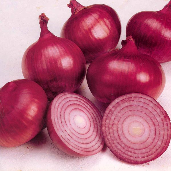 Omaxe Onion Improved Dark Red seeds